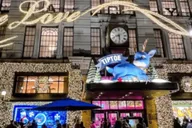 New York Holiday Lights Pedicab Tour thumbnail 1