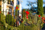 Charleston Walking Tour: Historic Highlights thumbnail 3