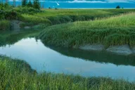 Anchorage Turnagain Arm Photography Tour 5 hr thumbnail 5