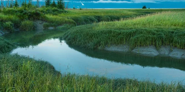 Anchorage Turnagain Arm Photography Tour 5 hr - Image 5