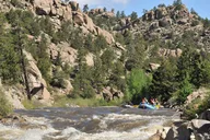 Arkansas River Bighorn Sheep Canyon Rafting thumbnail 2