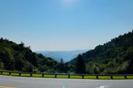 Pigeon Forge Newfound Gap Jeep Tour thumbnail 4