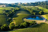 Napa Valley Wine Tasting Tour via San Francisco Ferry thumbnail 4