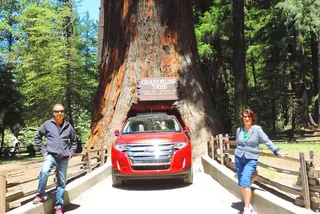 San Francisco Redwood National Park Tour 2-Day