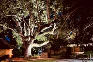 St. Augustine Private Golf Cart Ghost Tour thumbnail 4