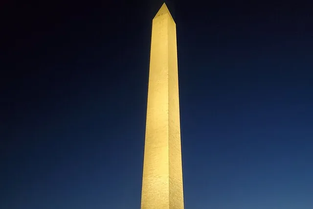 Washington DC Guided Tour of National Mall - Image 5