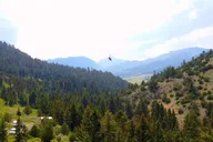 Gardiner Zipline and Rafting Adventure thumbnail 1