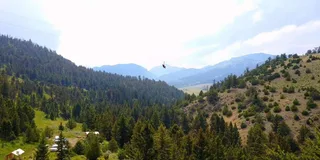 Gardiner Zipline and Rafting Adventure