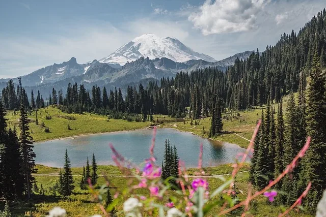 Mt. Rainier Gondola Ride at Sunrise and Paradise - Image 6