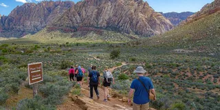 Las Vegas Spring Mountain Ranch Hike & Happy Hour