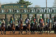 Louisville Bourbon & Derby Tour thumbnail 3