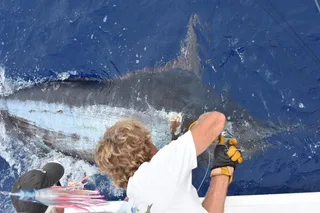 Kailua-Kona Fishing Charter 6 hr