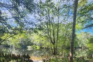Gilchrist Blue Spring Glass Bottom Kayak Tour thumbnail 3