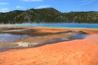 Cody Yellowstone National Park Day Tour thumbnail 4