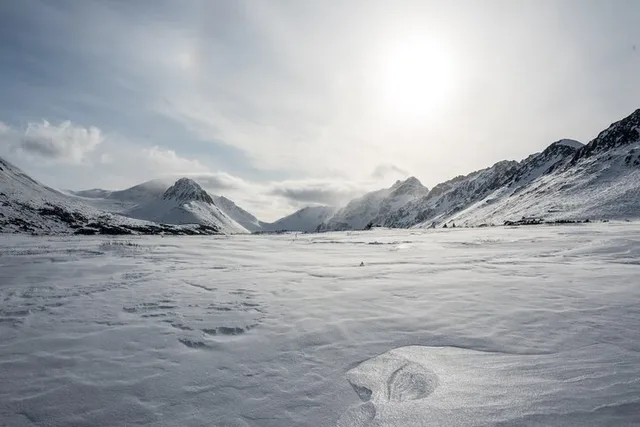 Anchorage Snowshoeing Adventure - Image 4