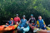 Sarasota Mangrove Kayak Tour with Hidden Beach thumbnail 3