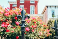 Louisville Walking Tour with Food & Bourbon thumbnail 1