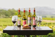 Healdsburg Private Wine Tour Featuring Coppola Winery 6 hr thumbnail 6
