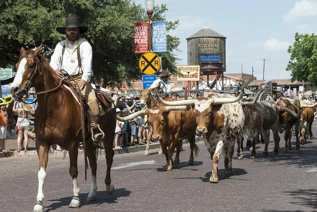 Fort Worth Cultural Tour from Dallas - Image 1