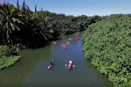 Kauai Kayak & Snorkel Tour in Hanalei Bay thumbnail 6