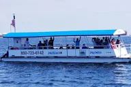 Pensacola Beach Dolphin Cruise and Scenic Bay Tour thumbnail 3