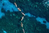 Maui Kayak and Turtle Snorkel Adventure thumbnail 2