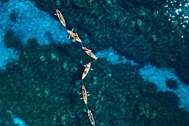 Maui Kayak and Turtle Snorkel Adventure - Image 2