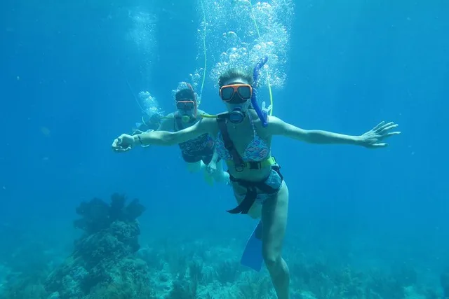 Key West SNUBA Experience - Image 4