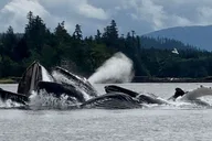 Juneau Jetski and Whale Adventure thumbnail 4