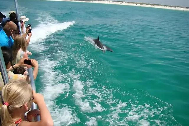 Pensacola Dolphin and Scenic Tour - Image 2