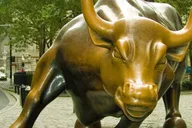 New York Central Park Zoo and Manhattan Walking Tour thumbnail 5