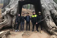 Yosemite Private Tour: Valley, Glacier Point & Sequoias thumbnail 6