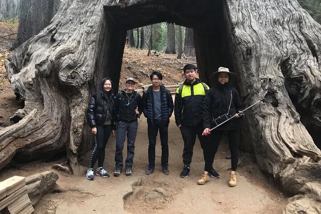 Yosemite Private Tour: Valley, Glacier Point & Sequoias - Image 6