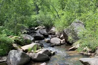 Custer State Park Safari and Hiking Tour thumbnail 3