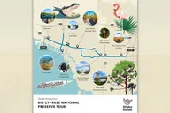 Miami Big Cypress Audio Tour thumbnail 4