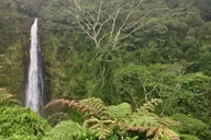 Kona Big Island Volcano Adventure thumbnail 1