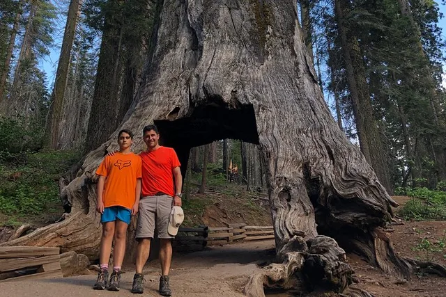 Groveland Big Trees Hike & Riverside Cookout - Image 3