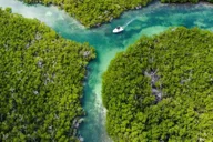 Key West Private Boat Charter thumbnail 1
