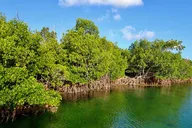 Big Pine Key Eco Boat Tour thumbnail 5