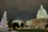 Washington D.C. Christmas Tree & Holiday Lights Tour thumbnail 6