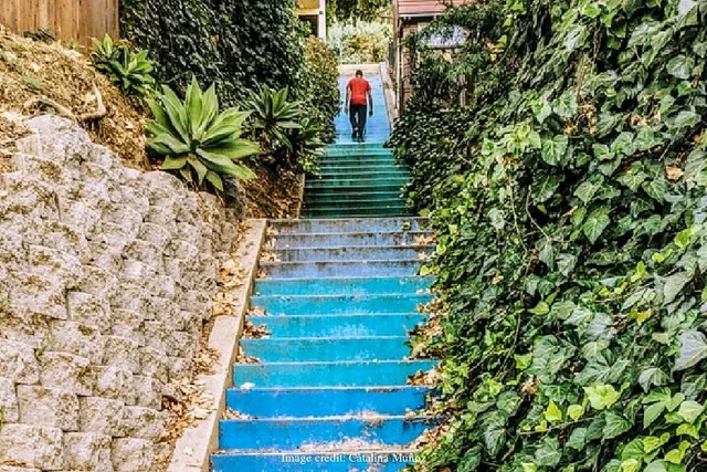 Los Angeles Walking Tour of Hidden Painted Stairways - Image 4