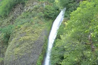 Portland City and Gorge Waterfalls Tour thumbnail 6