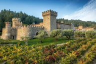 Napa and Sonoma Wine Tour from SFO thumbnail 5