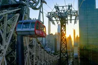 New York Roosevelt Island Historical Walking Tour 90 min thumbnail 1