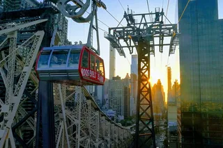 New York Roosevelt Island Historical Walking Tour 90 min