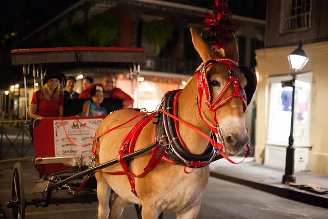 New Orleans Haunted History Carriage Tour - Image 2