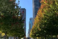 Chicago City Tour by Bus thumbnail 4