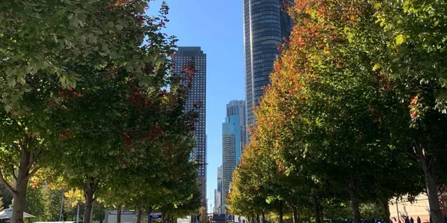 Chicago City Tour by Bus - Image 4