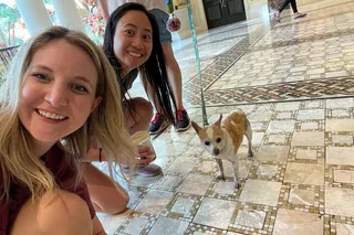 Detroit Scavenger Hunt Adventure
