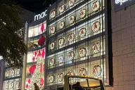 San Francisco Holiday Lights Tour with Hot Chocolate thumbnail 6